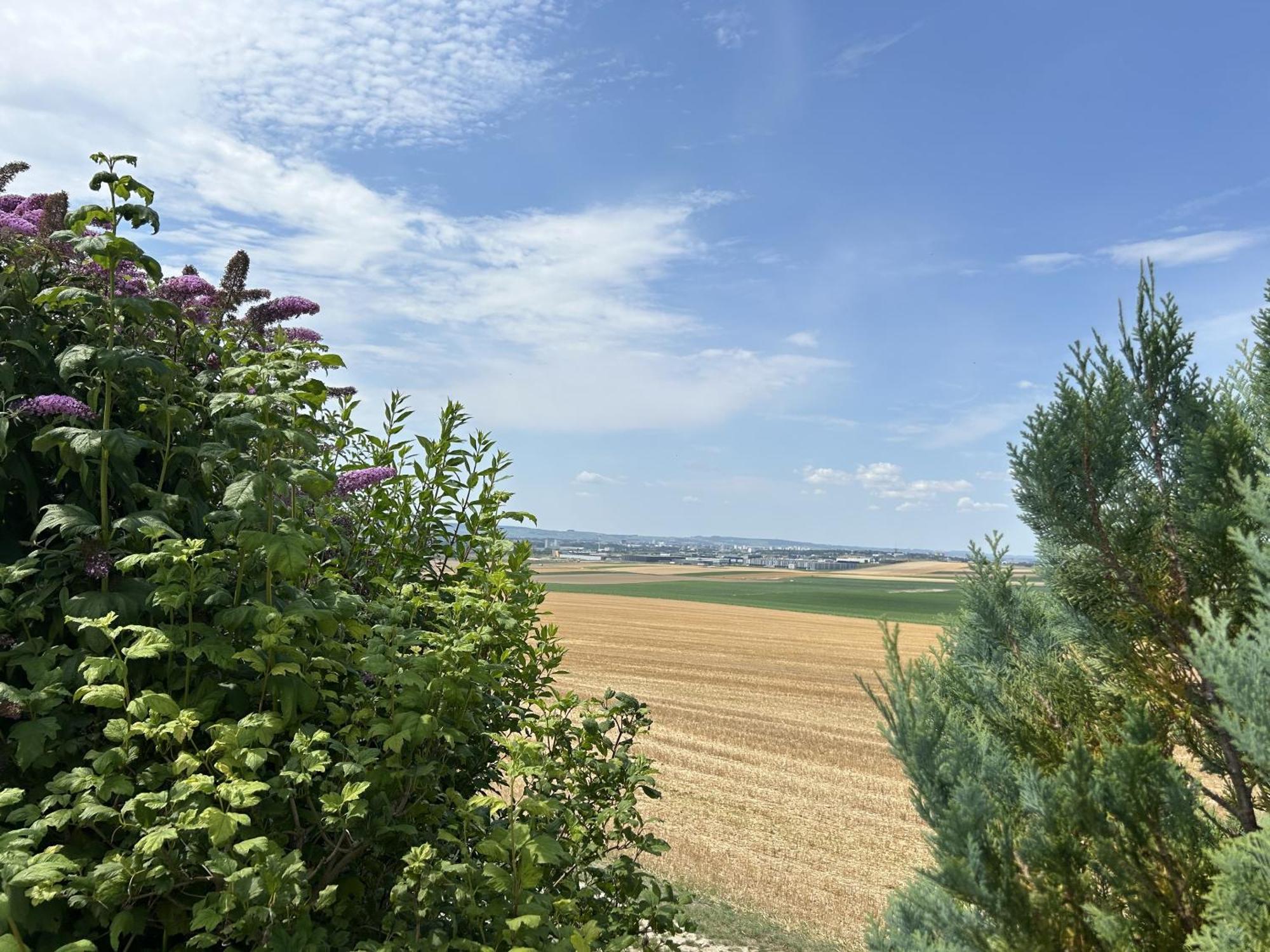 L'Intemporel Cernay-les-Reims Dış mekan fotoğraf