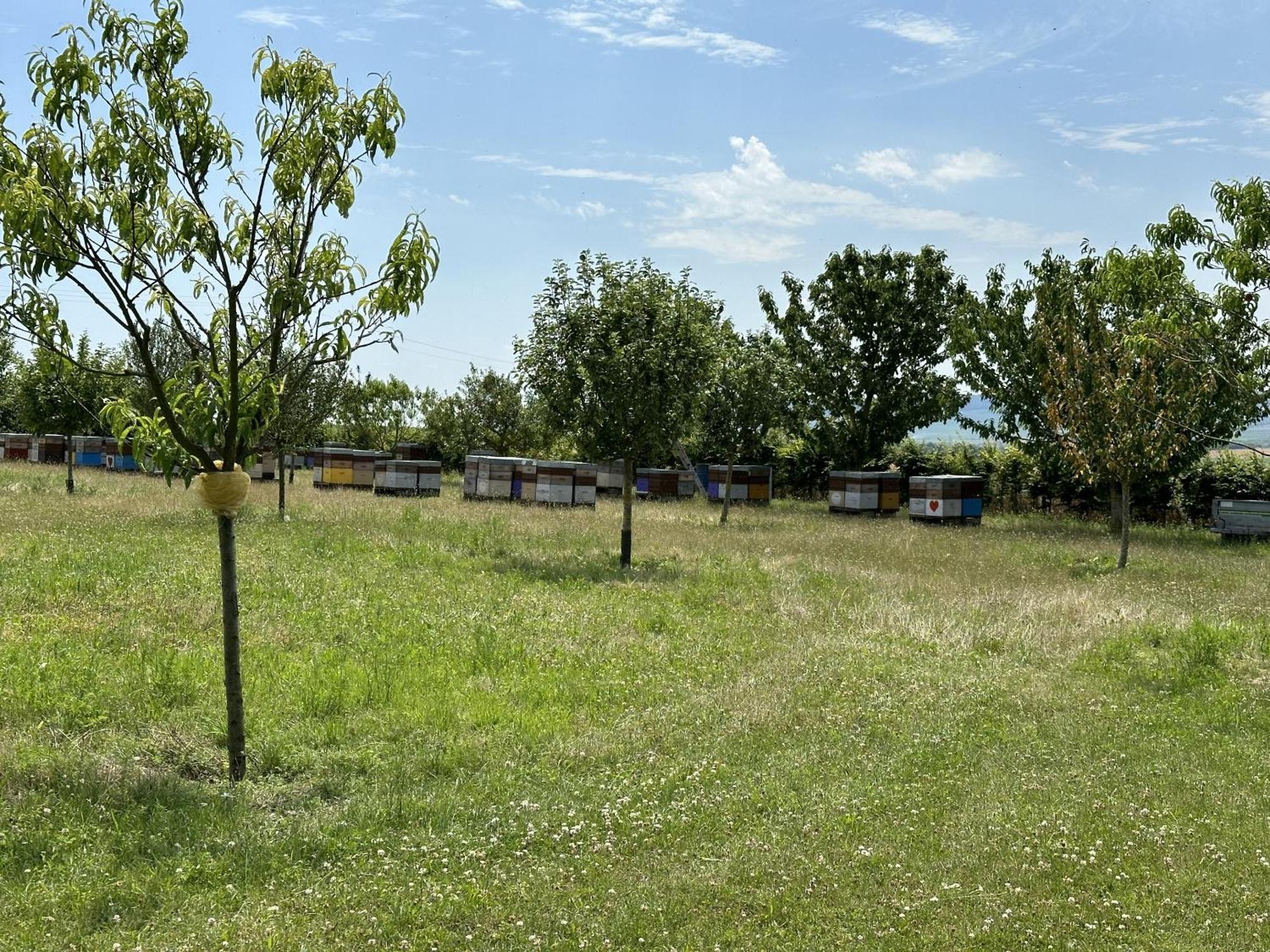 L'Intemporel Cernay-les-Reims Dış mekan fotoğraf